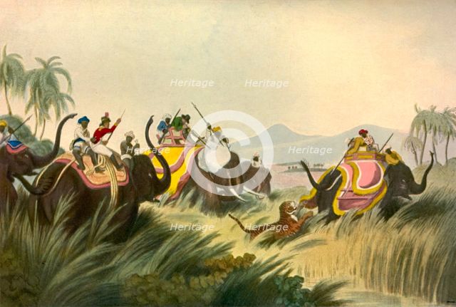 'The Tiger Hunt', c1808, (1901). Creator: Unknown.