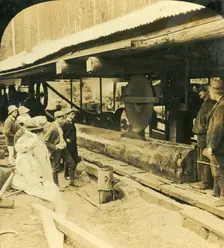 The Timber Industry, Warburton, Victoria, Australia 1909. Creator: George Rose