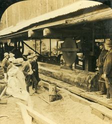 The Timber Industry, Warburton, Victoria, Australia 1909. Creator: George Rose