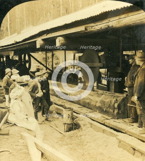 'The Timber Industry, Warburton, Victoria, Australia', 1909. Creator: George Rose.