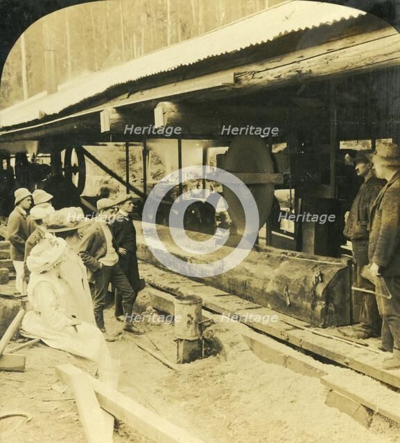 'The Timber Industry, Warburton, Victoria, Australia', 1909. Creator: George Rose.