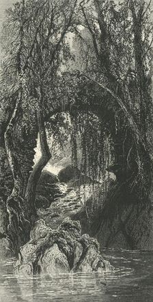The Torrent Walk, Dolgelly c1870