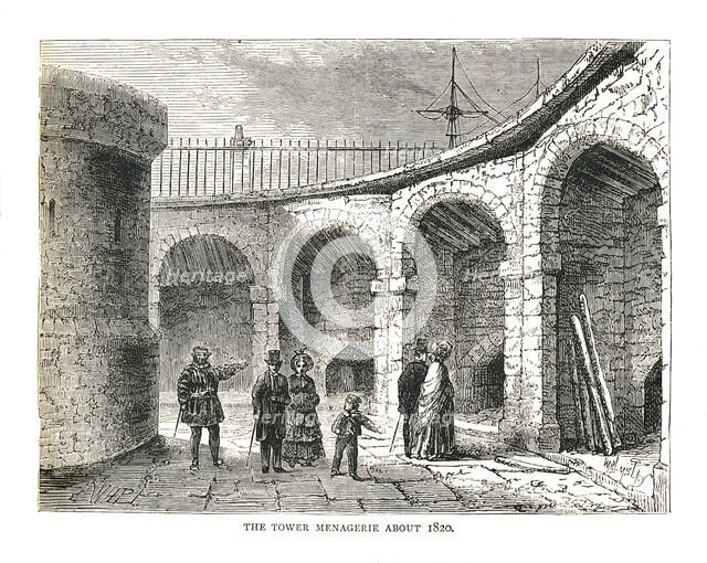 The Tower Managerie, 1878. Artist: Walter Thornbury