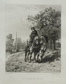 The Tow Path. Creator: Charles-Émile Jacque (French, 1813-1894)