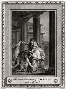 The Transformation of Galanthis into a Weasel 1777. Artist: W Walker