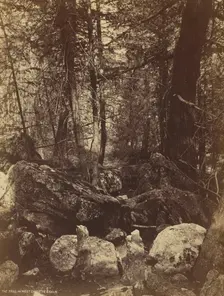The Trail in West Gallatin Cañon, c. 1870s. Creator: William Henry Jackson (American, 1843-1942)
