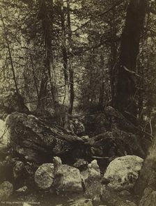 The Trail in West Gallatin Cañon, c. 1870s. Creator: William Henry Jackson (American, 1843-1942)
