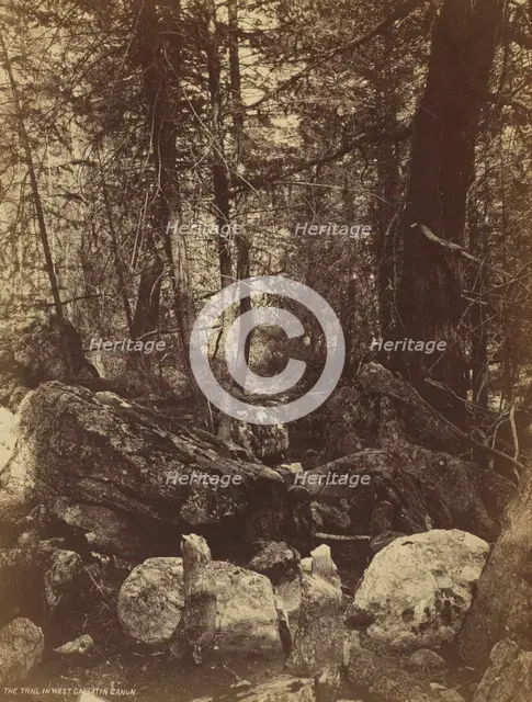 The Trail in West Gallatin Cañon, c. 1870s. Creator: William Henry Jackson (American, 1843-1942).