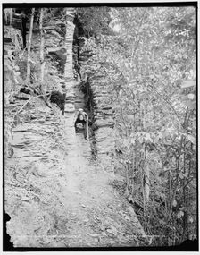 The Trail, Taughannock Falls, N.Y., between 1890 and 1901. Creator: Unknown