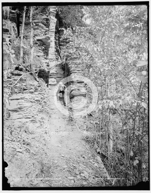 The Trail, Taughannock Falls, N.Y., between 1890 and 1901. Creator: Unknown.