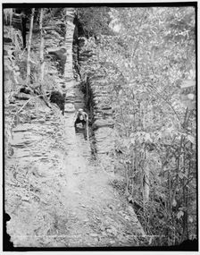 The Trail, Taughannock Falls, N.Y., between 1890 and 1901. Creator: Unknown