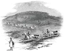 The Training Ground, Newmarket, 1845. Creator: Unknown