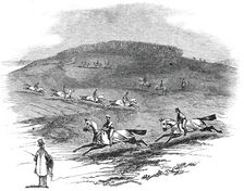 The Training Ground, Newmarket, 1845. Creator: Unknown