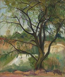 The Tree, 1912. Creator: Valadon, Suzanne (1865-1938)