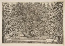 The Tree House at Pratolino, ca. 1653. Creator: Stefano della Bella