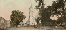 The tree of Noche Triste, Popotla, between 1884 and 1900. Creator: William H. Jackson