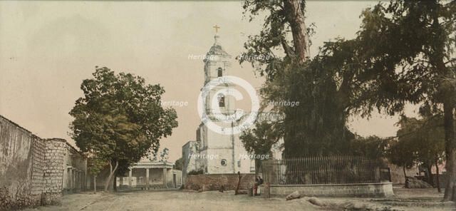 The tree of Noche Triste, Popotla, between 1884 and 1900. Creator: William H. Jackson.