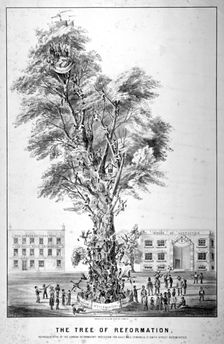 The Tree of Reformation 1853. Artist: Anon