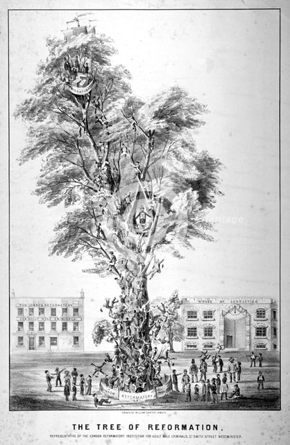 'The Tree of Reformation', 1853. Artist: Anon