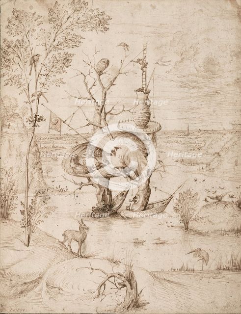 The Tree Man, c. 1505.