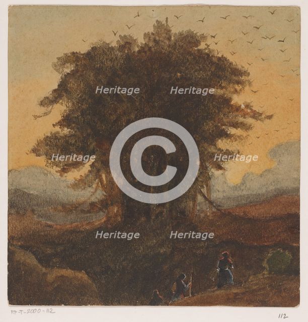 The tree with many birds, 1819-1881. Creator: Johannes Tavenraat.