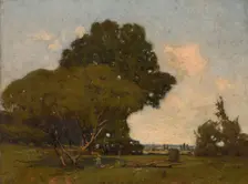 The Trees, Early Afternoon, France, ca. 1905. Creator: William A. Harper