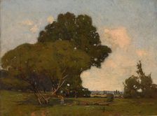 The Trees, Early Afternoon, France, ca. 1905. Creator: William A. Harper