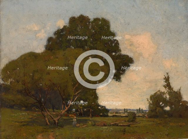 The Trees, Early Afternoon, France, ca. 1905. Creator: William A. Harper.