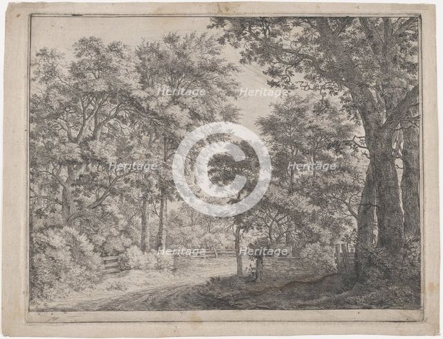 The Trimmed Groves, 17th century. Creator: Anthonie Waterloo.