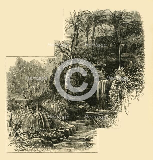 'The Tropical Gardens, Battersea Park', (c1878). Creator: Unknown.