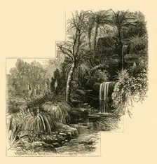 The Tropical Gardens, Battersea Park (c1878). Creator: Unknown