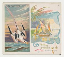 The Tropic Bird, from Birds of the Tropics series (N38) for Allen & Ginter Cigarettes, 1889. Creator: Allen & Ginter