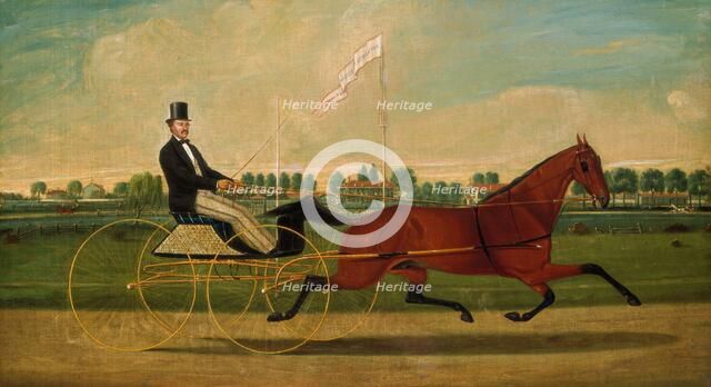 The Trotter, c. 1860. Creator: Charles S. Humphreys.