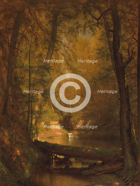 The Trout Pool, 1870. Creator: Worthington Whittredge.