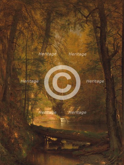 The Trout Pool, 1870. Creator: Worthington Whittredge.