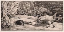 The Unknown, 1862. Creator: Félix Bracquemond (French, 1833-1914); A. Cadart & F. Chevalier, rue Richelieu, 66, Paris