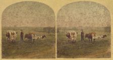 The unmolested kine rechew the cud. 1857-1859. Creator: William Morris Grundy