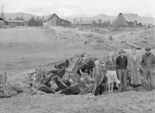 The Unruf family, stump pile, and their partly developed farm, Boundary County, Idaho, 1939. Creator: Dorothea Lange
