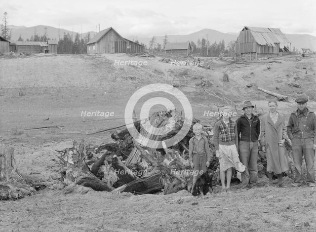 The Unruf family, stump pile, and their partly developed farm, Boundary County, Idaho, 1939. Creator: Dorothea Lange.