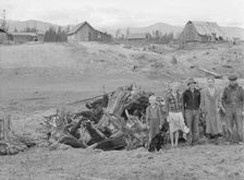 The Unruf family, stump pile, and their partly developed farm, Boundary County, Idaho, 1939. Creator: Dorothea Lange