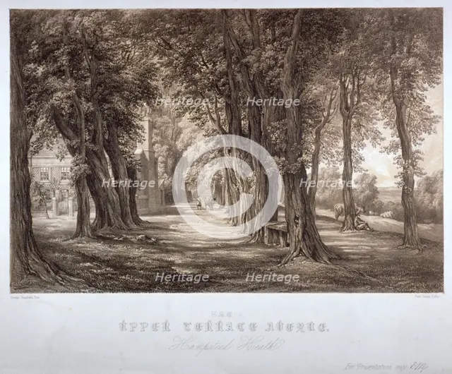 The Upper Terrace Avenue, Hampstead Heath, London, c1840. Artist: Paul Gauci