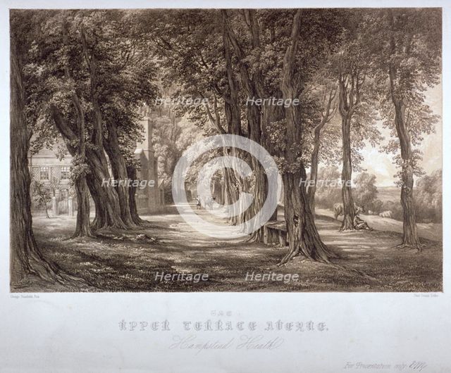 The Upper Terrace Avenue, Hampstead Heath, London, c1840. Artist: Paul Gauci