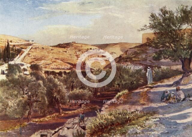 'The Upper Valley of the Kidron Looking South', 1902. Creator: John Fulleylove.