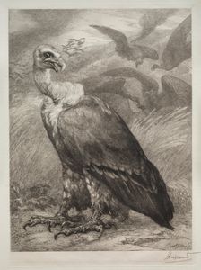 The Vulture, 1904. Creator: Félix Bracquemond (French, 1833-1914); Emil Dolot (Société des amis de l'estampes français)