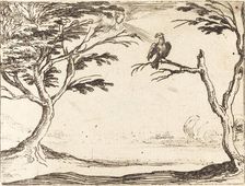 The Vulture. Creator: Jacques Callot