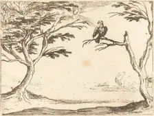 The Vulture. Creator: Jacques Callot