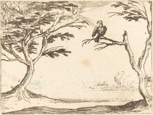 The Vulture. Creator: Jacques Callot