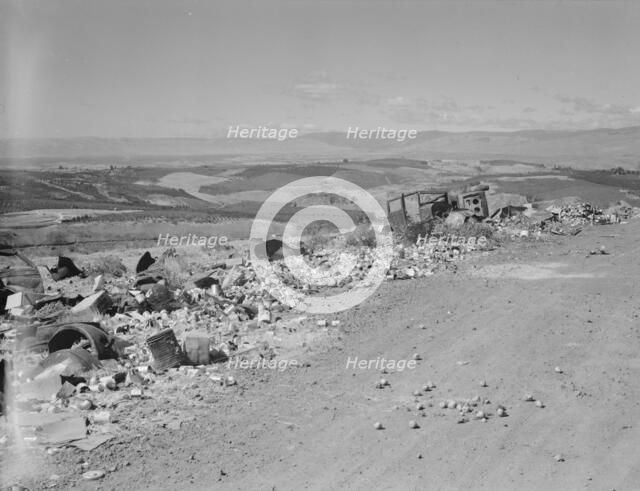The valley below seen from advertised "lookout point.", Yakima Valley, Washington, 1939. Creator: Dorothea Lange.