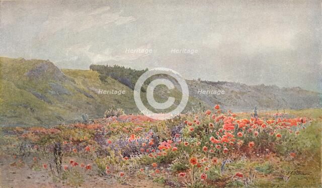 The Valley of Poppies, c1879-1903, (1903). Artist: Howard Gull Stormont