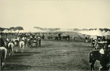 The Viceroy's Camp at the Imperial Assemblage January 1877, (1901). Creator: Bourne & Shepherd